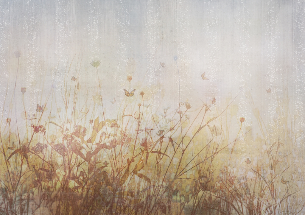 Fototapeta-Motyle-Na-Lace_2159285589-1