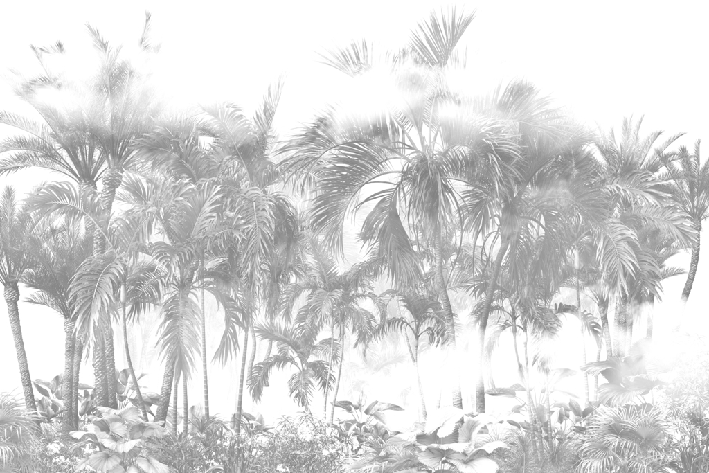 Fototapeta-Palmy-w-Bieli_2277286199-1