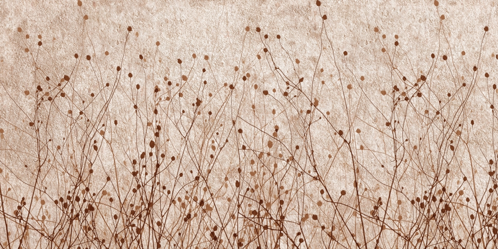 Fototapeta-Trawa-Ozdobna_2202266355-1