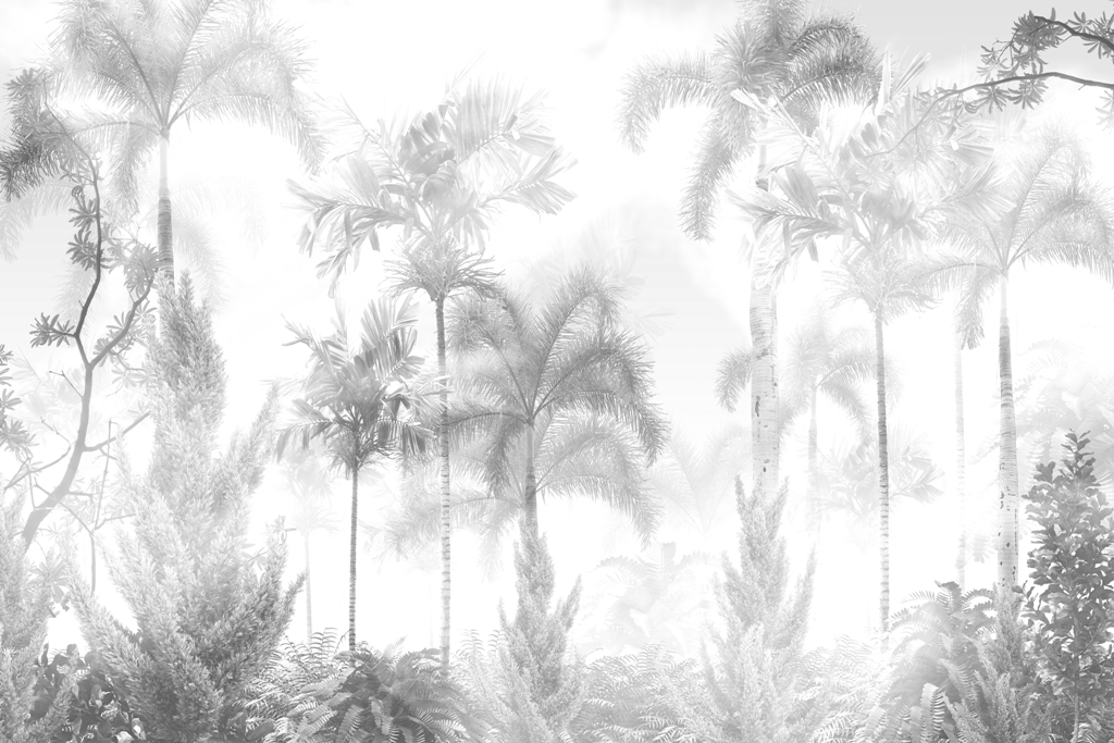 Fototapeta-Zamglone-Palmy_2203091389-1