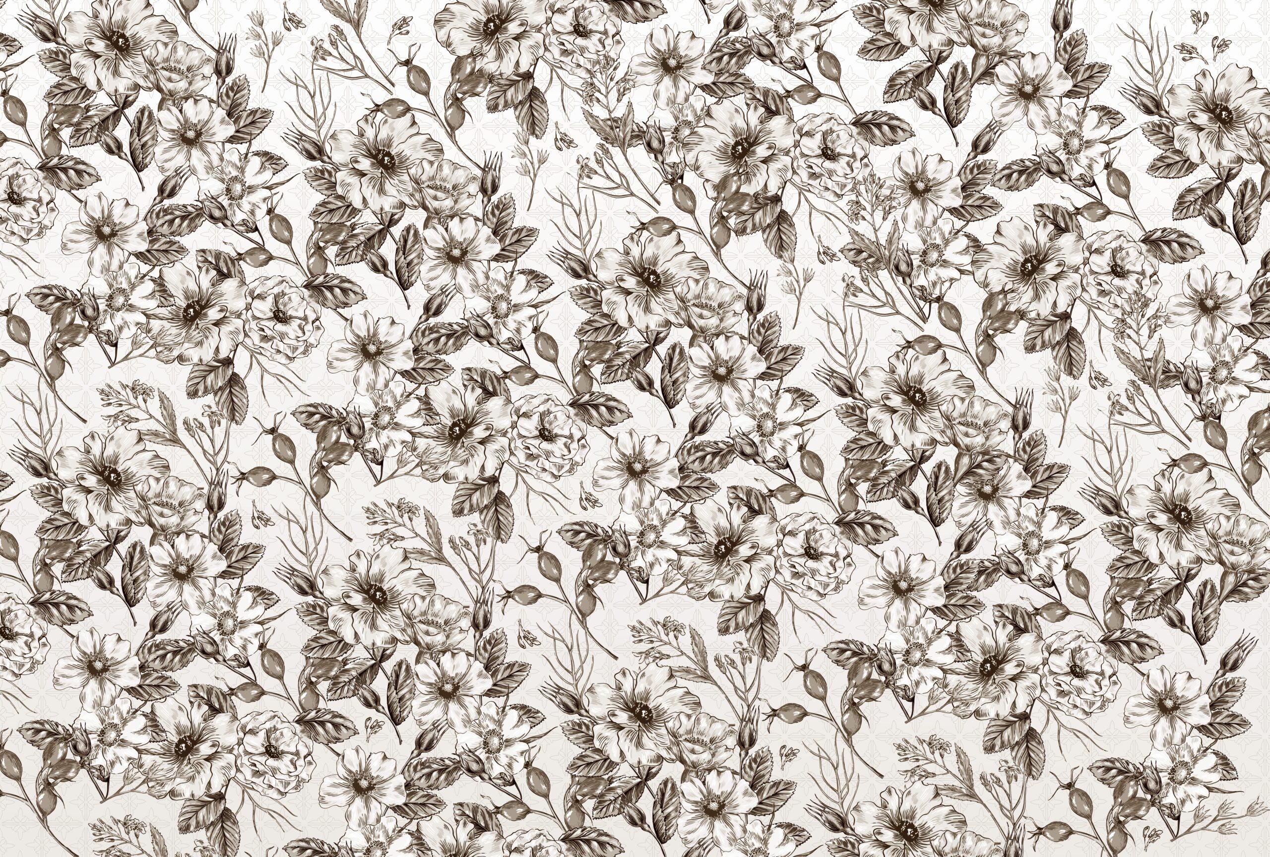 Wild,Roses,,Beautiful,Flowers,With,Ormenent,In,Background-,Digital,Illustration