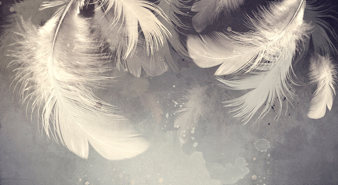 Image of feathers in interior style with watercolor splashes