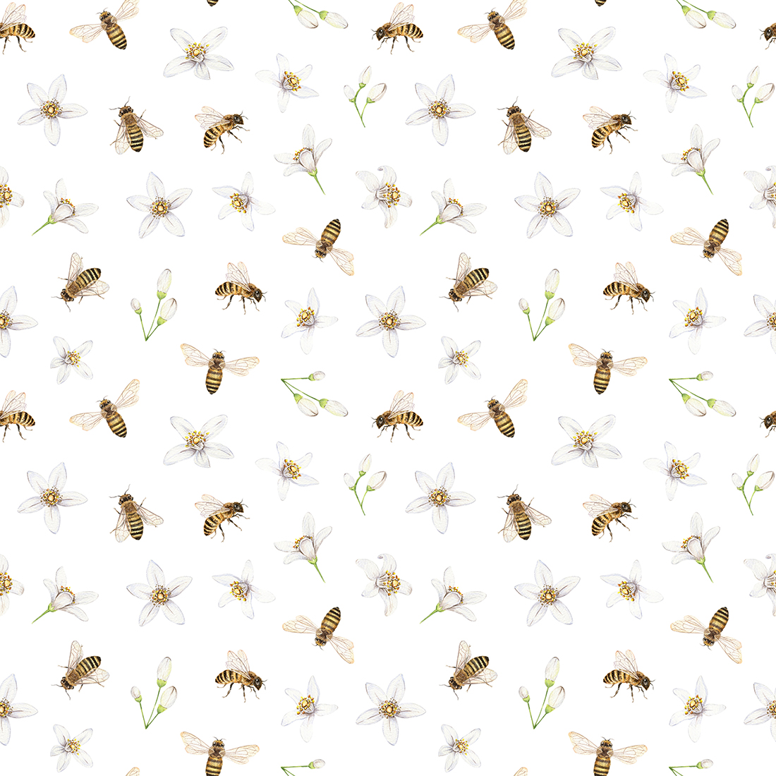 Seamless pattern with cute honey bees and orange blossom. Hand d